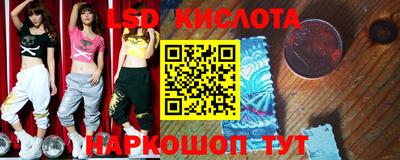бошки Можга