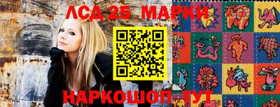 бошки Можга