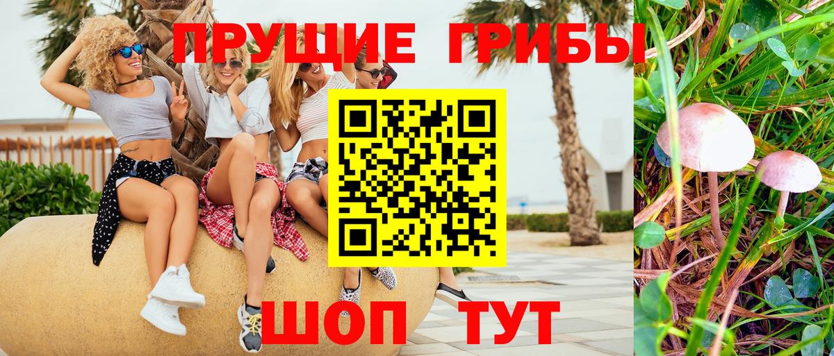Псилоцибиновые грибы мицелий  Псилоцибиновые грибы Psilocybe  Ульяновск  Вход с VPN 