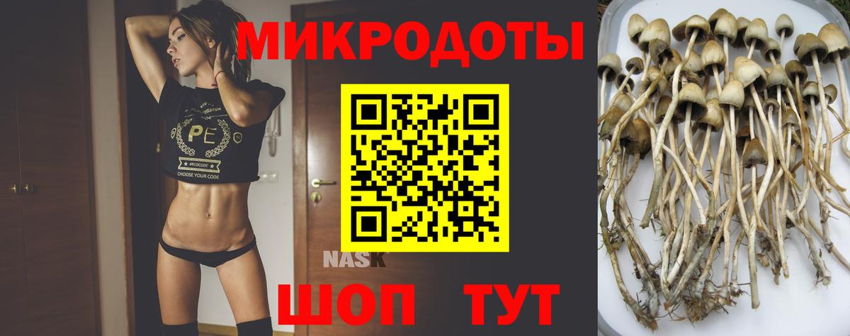 Псилоцибиновые грибы Cubensis Ульяновск